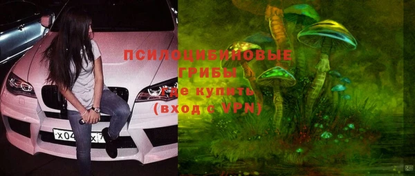 спиды Алзамай