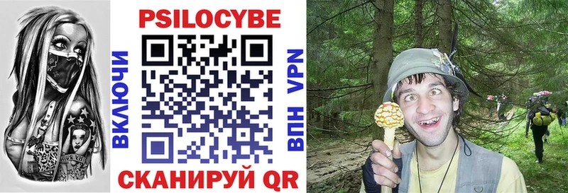 Галлюциногенные грибы мицелий  ОМГ ОМГ зеркало  Черкесск 